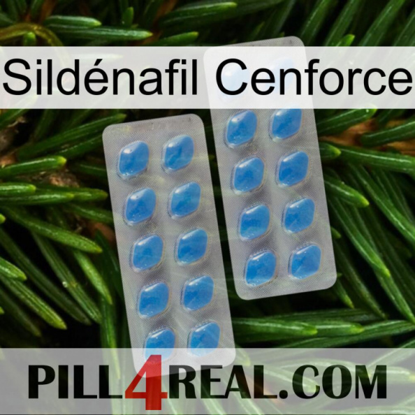 Sildénafil Cenforce 23.jpg